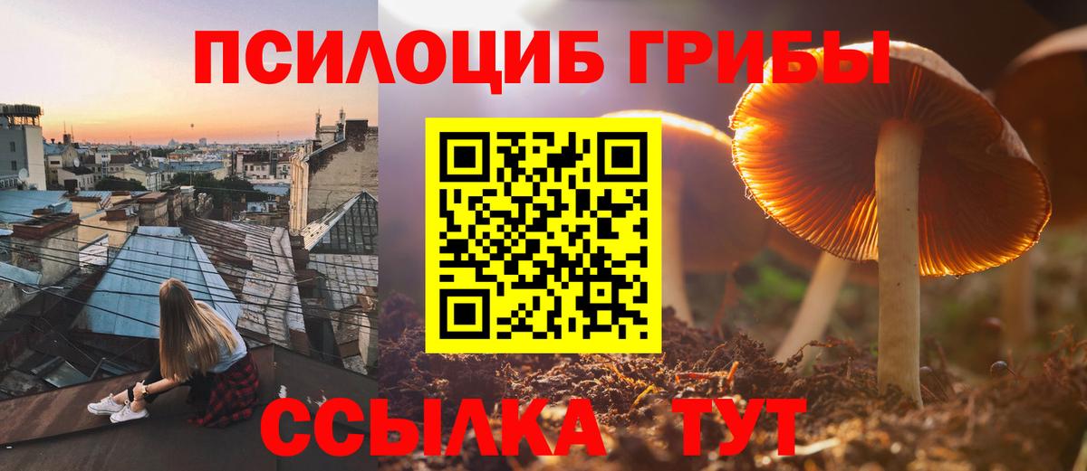 Галлюциногенные грибы Psilocybine cubensis  наркотики  Верхняя Пышма  Вход с VPN  Псилоцибиновые грибы прущие грибы 