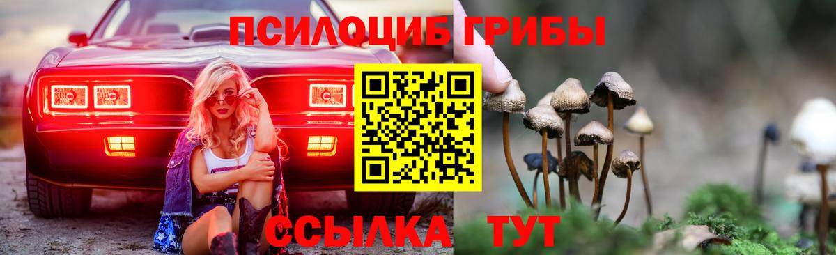 Галлюциногенные грибы Magic Shrooms Верхняя Пышма